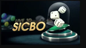 Xí ngầu tài xỉu hay còn được gọi là game Sicbo